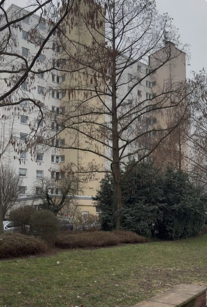 Abbildung von Landgrafenring 74, 76, 78 bei Tageslicht